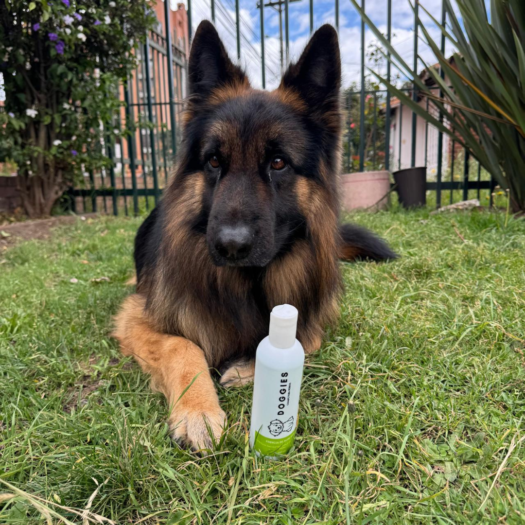 SHAMPOO PARA MASCOTAS CON ALOE VERA  240 ML