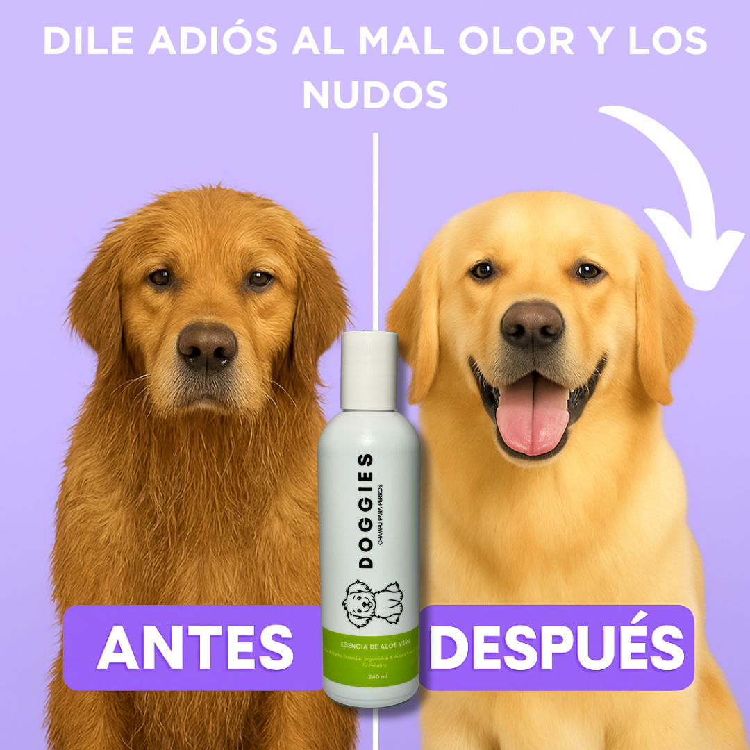 SHAMPOO DE ALOE VERA DOGGIES 240ML X 12