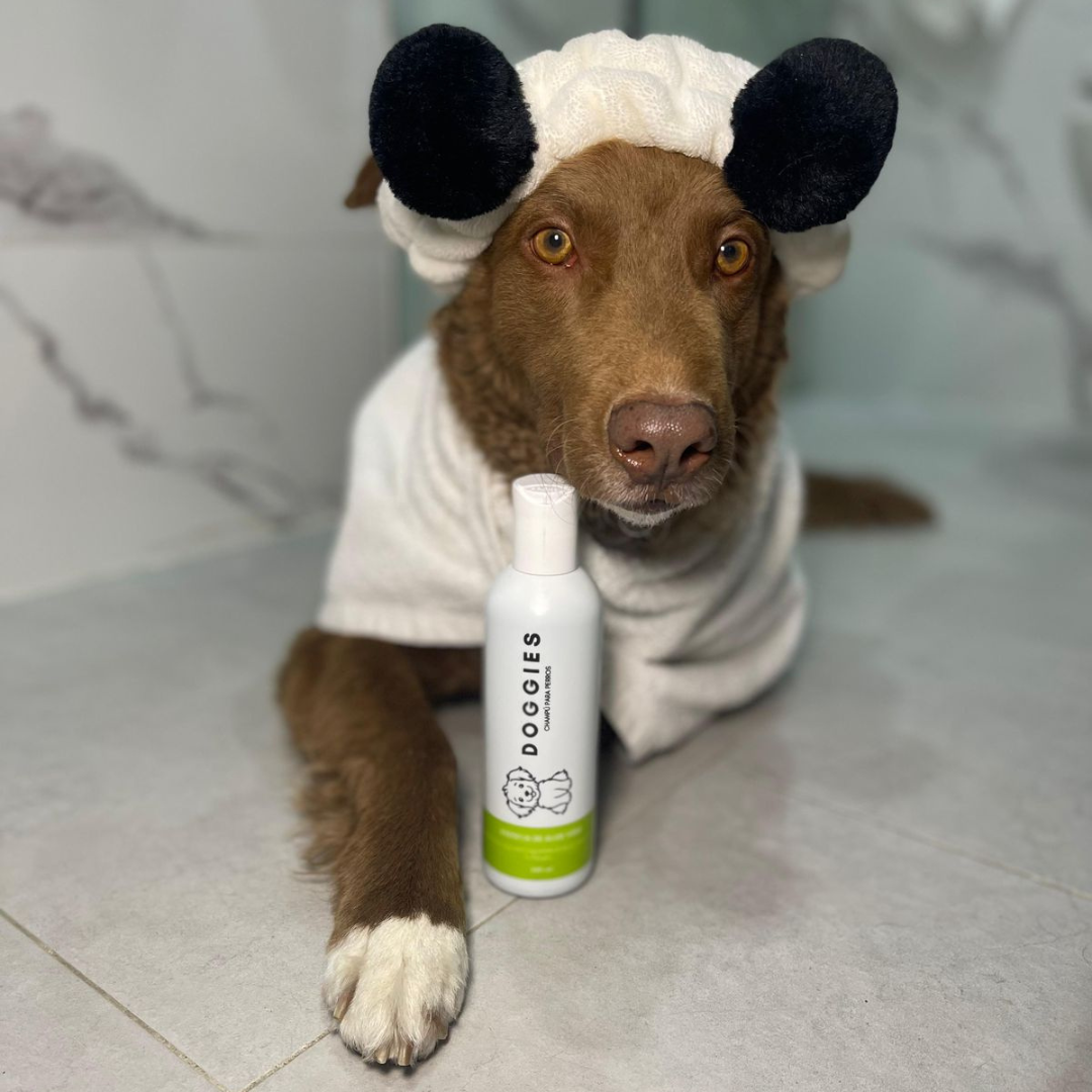 SHAMPOO PARA MASCOTAS CON ALOE VERA  240 ML