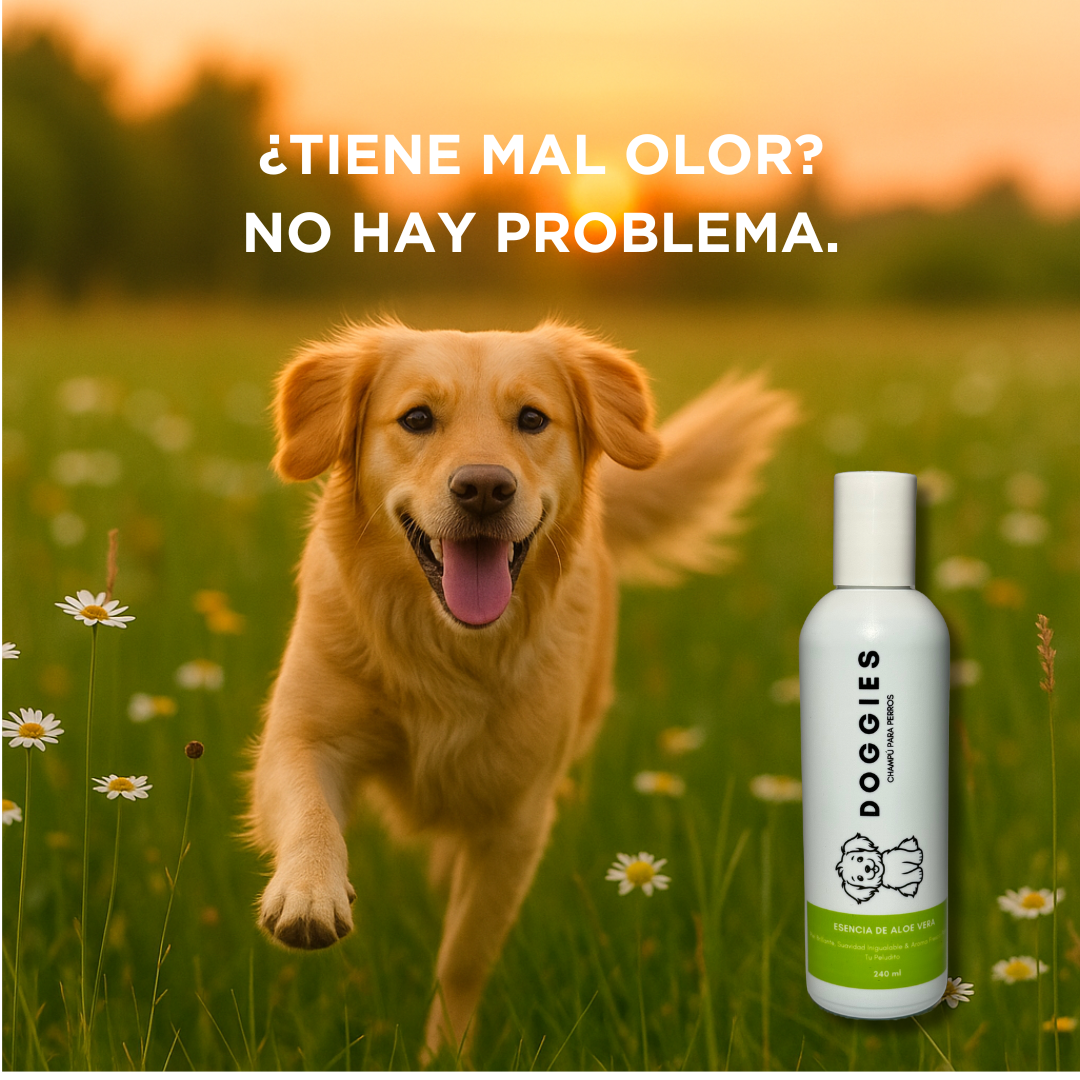 SHAMPOO DE ALOE VERA DOGGIES 240ML X 12