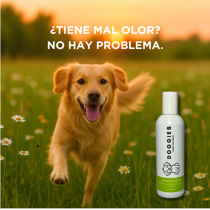 SHAMPOO DE ALOE VERA DOGGIES 240ML X 12